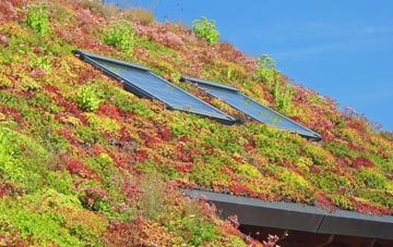 Oakerthorpe living roof systems